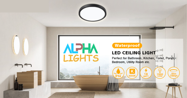 ceiling led light