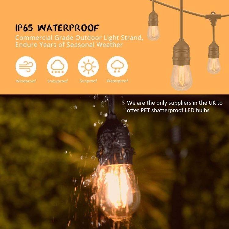 Picture of Outdoor String Lights - Festoon Lights - Garden Lights with 12 Shatterproof LED Bulbs, 33-Ft/10M