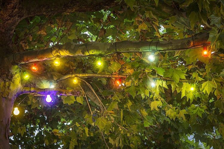 Picture of 20x Multicoloured LED Festoon Lights - Clear Bulbs - E27 - Indoor/Outdoor - 2379-500