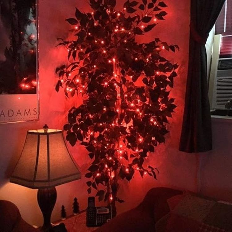 Picture of Battery-Powered 3M 30LED Red Fairy String Lights for Christmas, New Year & Valentine's Day Decor   Perfect for Creating a Warm Ambiance for Your Celebrations