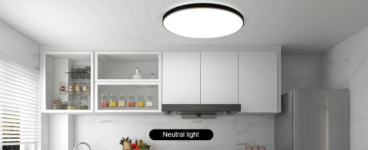 Picture of Smart LED Ceiling Light Colour Changer App Dimmable Ideal for Bedrooms UK