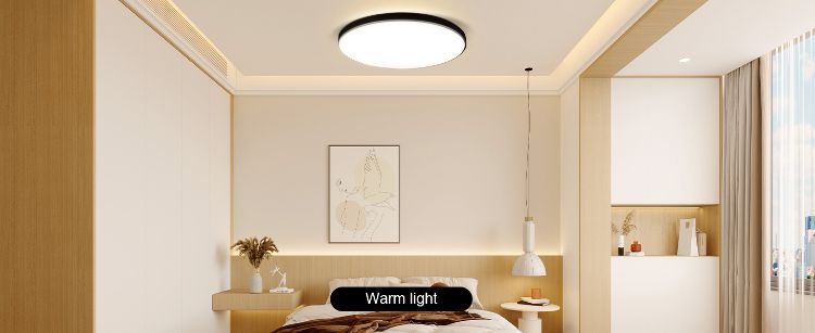 Picture of Smart LED Ceiling Light Colour Changer App Dimmable Ideal for Bedrooms UK