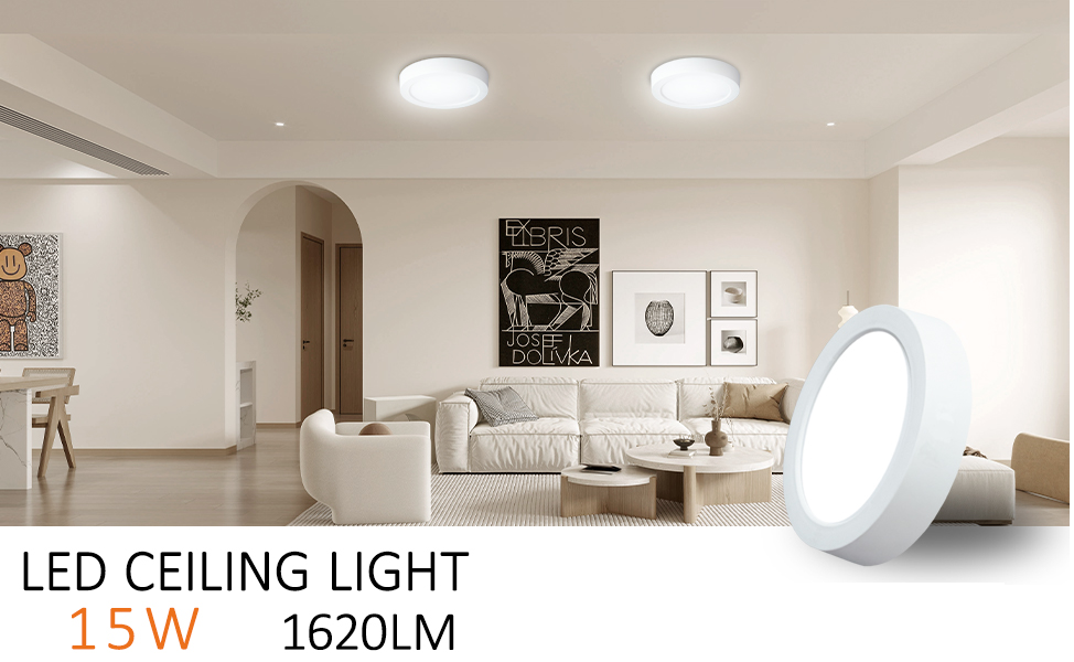 round led ceiling light